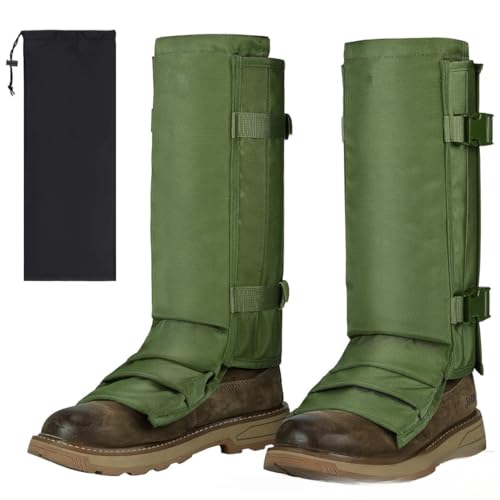 [adelphos] QC^[ Xl[NQC^[  gQ΍ _  R 3w\ jp GTR4 (I[u)