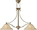 Hinkley 4662BR 2 Light Island Chandelier