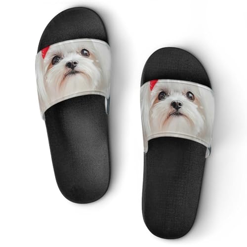Awaiting Christmas with Maltese House Sandals Slip On Bathroom Slippers Beach Summer Shoes for Men Women