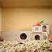 Multi-Chamber Wooden Hamster Hideout & Tunnel - Durable, Ventilated Natural Wood Cage Accessories for Dwarf, Syrian Hamsters and Small Pets