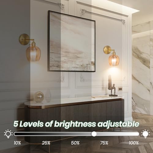 Image of Battery Operated Wall Sconce, Vintage Wall Sconce with RGB Color Changing Dimmable, Battery Wall Light with Remote,Wireless Wall Sconces, for Bedroom,Living Room, Hallway (Striped Amber)