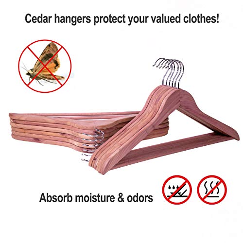 Solid Cedar Hangers 12 Pack, Sturdy Wooden Hangers with 360 Degree Swivel Hook, Smooth Surface Wood Coat Hangers with Cedar Scent for Refreshing Closet