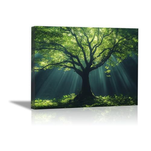 Toile forêt antique rayons lumière contre les murs vides du salon 70x100