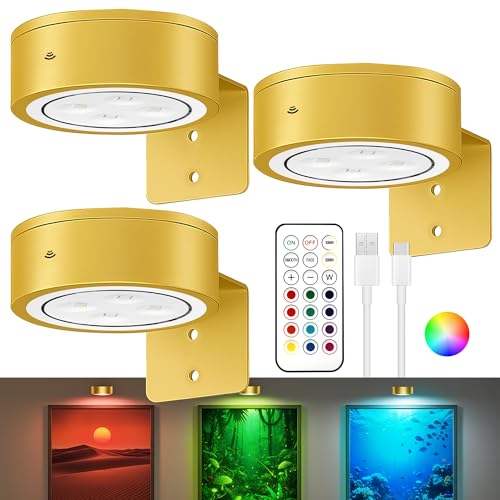 3-Pack Picture Lights for Wall, 13 RGB Color Changing Led