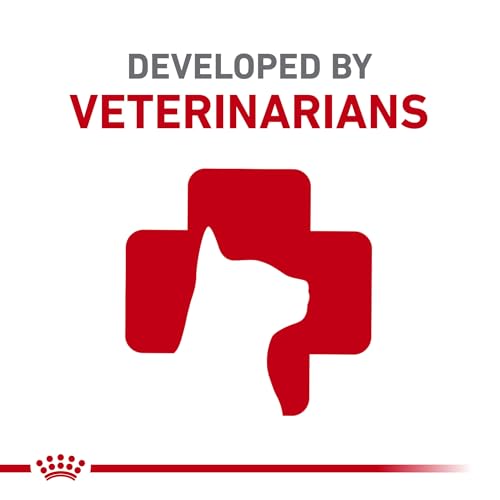 Royal Canin Feline Care Nutrition Dental Care Adult Dry Cat Food, 3 lb Bag