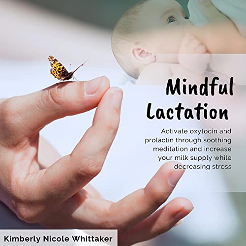 Mindful Lactation by Kimberly Nicole Whittaker episode artwork