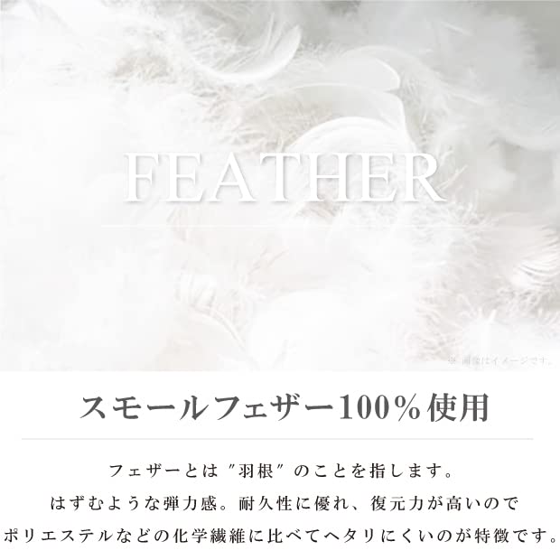 Amazon.co.jp: フェザー100％ ヌードクッション 日本製 クッション中身