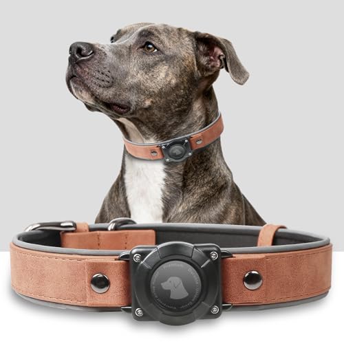 Premium Leather AirTag Dog Collar, 100% Waterproof & Reflective Dog Collar with AirTag Holder – Compatible with Apple Air Tag - Durable, Comfortable Padded GPS Dog Collars(Mahogany Brown-M)