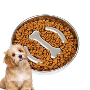 Slow Feeder Bowls Dogs, Stainless Steel Dog Food Feeding Bowl, Anti-Tip Licking Basin 8.66×8.66×1.57 Inches, Feeder for Medium Large Breeds, Beef Jerky, Diced Chicken