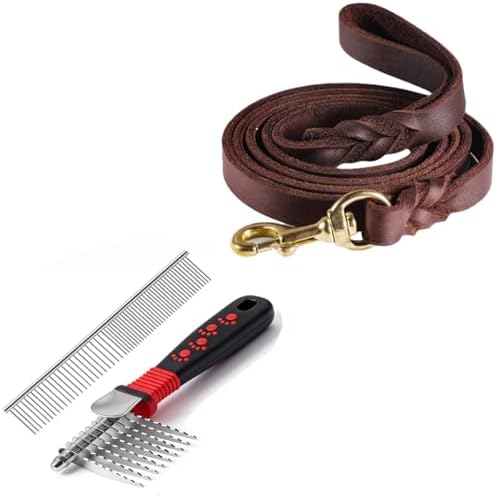 QUMY Leather Dog Leash and Dog Grooming Comb Set