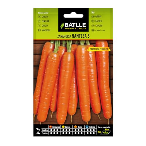 Semillas Batlle – Semi di carota