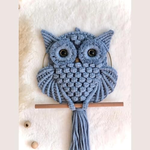 Image of tms Bohemian Owl Macrame Wall Hanging - 12 x 23 Inch - Handcrafted Boho Home Decor with Natural Elements - Boho Chic Accent for Home, Office, or Living Room (ICE BLUE)