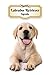 2021 Labrador Retriever Agenda: A5, 107 Pages | 12 Mois | Planificateur & Organiseur | Calendrier | Une double page par semaine | Journal | Chien | En Francais