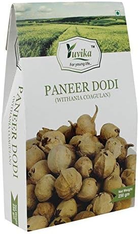 YUVIKA Paneer DODI | Paneer Ke Phool - Withania Coagulan (250 GM) (Pack of 4)