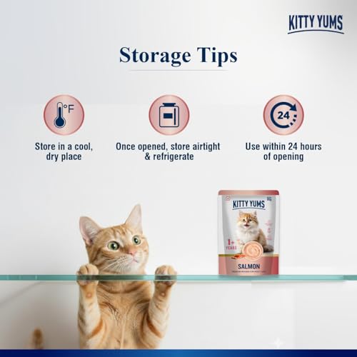 Image of Kitty Yums Adult Cat Wet Mousse 80g | Salmon | Rich in Protein | Promotes Hydration & Easy to Digest | Grain Free | No Artificial Flavours | Packed with Essential Vitamins & Antioxidants