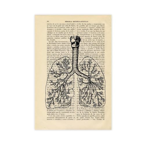 Poster anatomie pulmonaire retro affiche systeme respiratoire cadeau medecin
