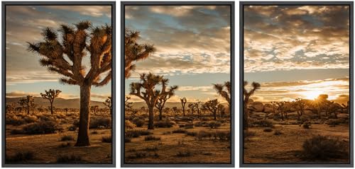 wall26 Framed Canvas Print Wall Art Set Joshua Tree Sunset Desert Landscape Photography Realism Scenic Landscape Decorative Colorful Multicolor for Bedroom - 24"x36"x3 Black