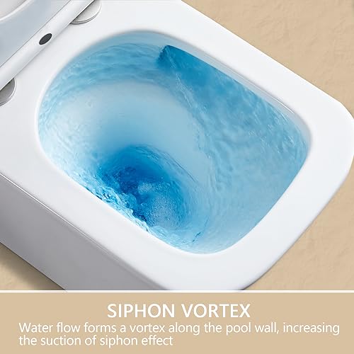 Deer Valley DV-1F0071 Modern Elongated Toilet Power Dual Flush 1.1/1.6 Gpf Toilet thumb #2