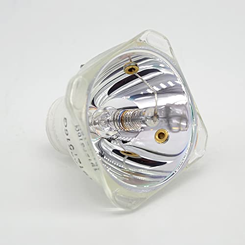 La lampada di ricambio professionale fornisce immagini chiare, luminose e nitide per home theater, presentazioni scolastiche, riunioni di lavoro, ecc