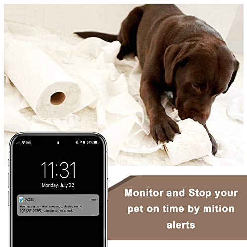 BIOXO Pet Monitor Camera, 1080P HD Ptz IP Camera, Night Vision Camera for Dog/Cat/Baby Monitor Home Security Camera… - Image 2