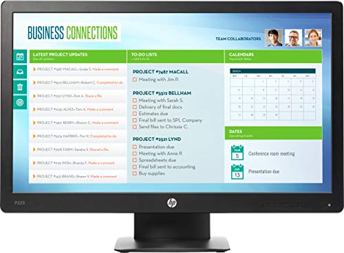 HP ProDisplay P223
