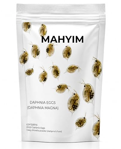Premium Daphnia Eggs (2000+ Eggs) for Hatching Live Fish Food | High Hatch Rate Water Flea Eggs | Nutritious Live Feed for Betta Guppy Goldfish Shrimp & Aquarium Fry | Easy to Hatch Starter Culture