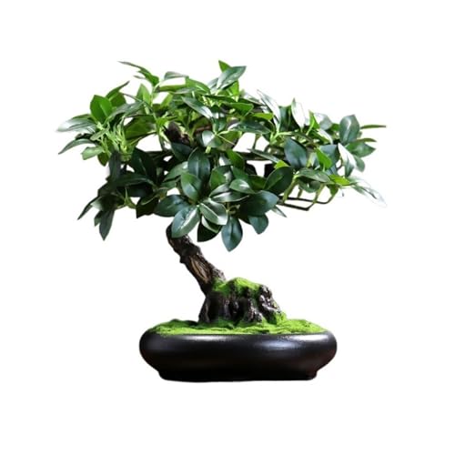 Plantas Falsas Plantas Verdes Falsas, Adornos Decorativos de simulación de árbol de bonsái, árbol en Maceta for Sala de Estar, Adornos de simulación de bonsái de Feng Shui Chino Decoración