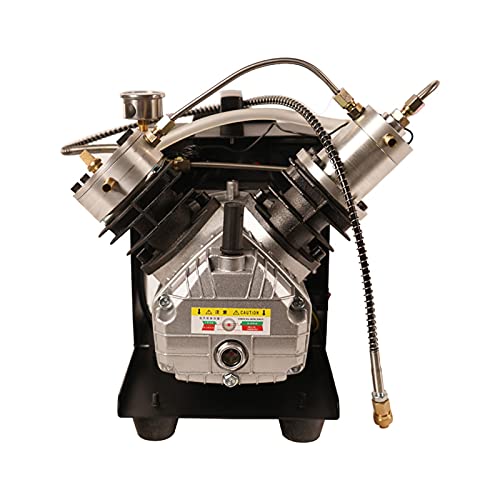 TUXING 4500Psi Pcp Air Compressor Mini-Double Cylinder High Pressure Air Compressor for PCP Tank Gas Filling 110V (TXEDM041)