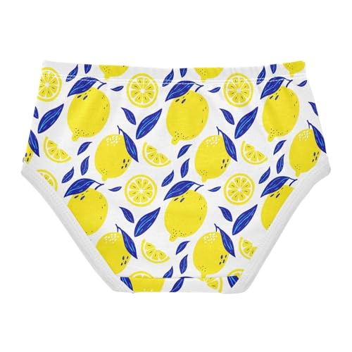 Summer Fruit Lemon Toddler Girls's Underwear 2T 23029172