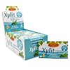 Birkengold Xylitol kauwgom pepermunt | 24 st. blister | verzorgingskauwgom | suikervrij | hoog xylitolgehalte van 70…