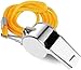SHENGQIDZ 48 Pack Whistles, Stainless Steel Sports Loud Crisp Sound Whistles with Lanyard,Whistles Great for Referees, Coaches