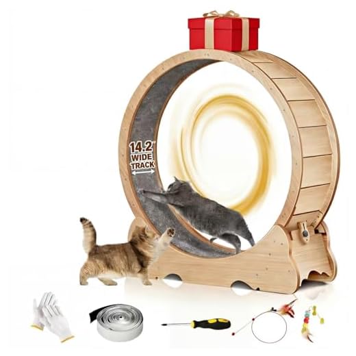 XL Cat Wheel for Fitness and Fun