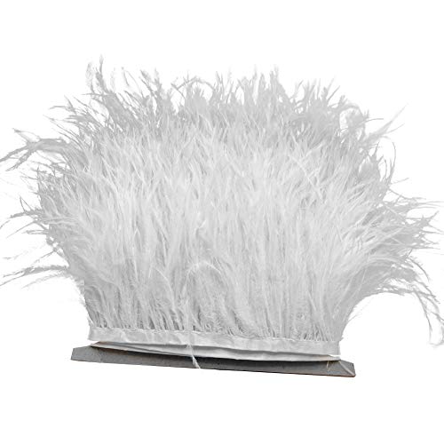 Ruban ruban ruban à franges en plumes pour robe à coudre avec bordures en autruche, blanc, taille unique Cover
