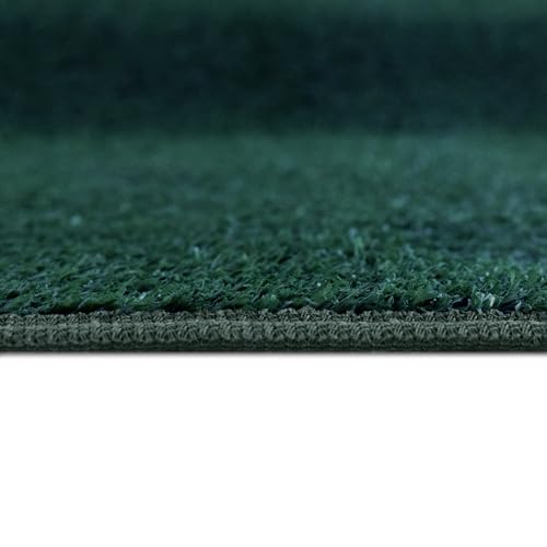 image for iCustomRug Indoor/Outdoor Turf Carpet & Rugs, Synthetic Grass Artifici