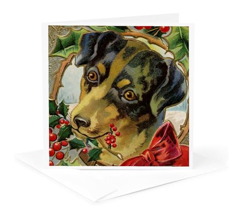 TNMPastPerfect Christmas - NX}X q Ԃ{ƃx[ƃqCM - O[eBOJ[h Individual Greeting Card