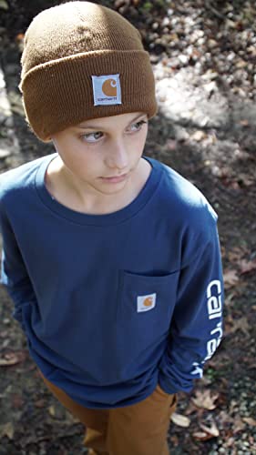 Image of Carhartt Little Boys' Acrylic Watch Hat