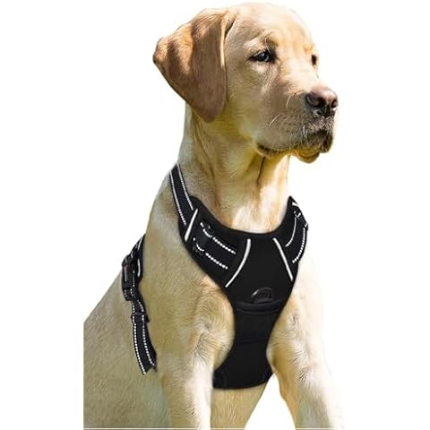 DASH X No Pull Adjustable Dog Harness Cover