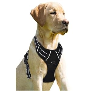 Dog Harness Medium – No Pull Dog Harness for Large Dogs -Front Clip Reflective Dog Vest Harness Adjustable – No-Choke Breathable with Easy Control Handle (BLACK, MEDIUM (Neck:38-61cm, Chest:38-75cm))