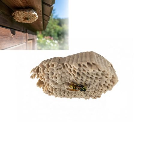 Realistic Fake Wasp Nest Geocache Container with Strong Magnets Weatherproof Hidden Key Storage Box for Outdoor Geocaching Hide Small Items Notes Pathtags Camouflage Hidden Cache Container