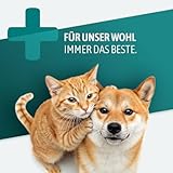 AniGo Wurmkraut PET Liquid Tropfen flüssig 50ml – für Hunde & Katzen, mit echtem Wurmkraut (Artemisia Absinthium) in rezepturbasierter Pflanzenformel, geeignet für alle Haustiere