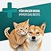 AniGo Wurmkraut PET Liquid Tropfen flüssig 50ml – für Hunde & Katzen, mit echtem Wurmkraut (Artemisia Absinthium) in rezepturbasierter Pflanzenformel, geeignet für alle Haustiere