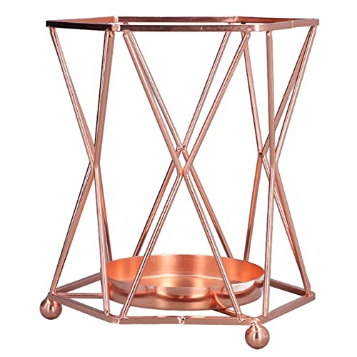 Vaso de flores de vidro, durável requintado moderno atraente vaso hidropônico com suporte de flores