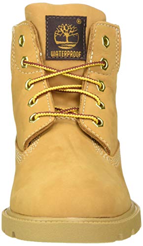 Image of Timberland Little Kid /Big Kid 6 inch Premium Waterproof Boot