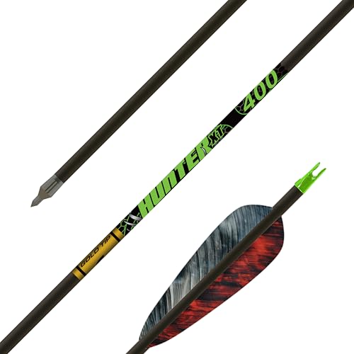 Gold Tip .246 Hunter XT 100% Carbon Hunting Arrows, 250 Spine, 4-Inch Feathers for Compound Bow (12 Pack) by Gold Tip - Used condition - US$165.86
