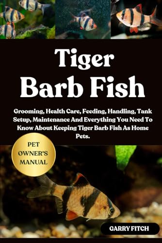 TIGER BARB FISH: Grooming, Health Care, Feeding, Handling, Tank Setup, Maintenance And Everything...
