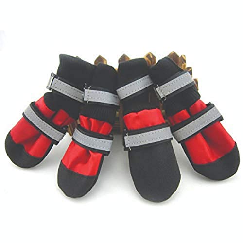 Best Sellers The most popular items in Dog Boots