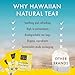 Hawaiian Natural Tea Pineapple Strawberry Flavored Organic Tea - Tropical Fruit Green Tea Blend with White Tea - Perfect Daily Cup & Gift for Tea Lovers - 120 Tea Bags