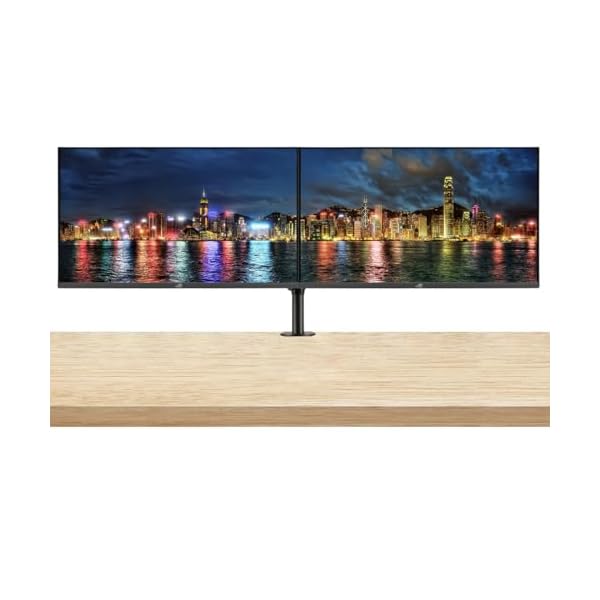 ASUS ROG Strix XG32UQ 32-inch 3840 x 2160 4K UHD 160 Hz 1 ms LCD Gaming Monitor, 2-Pack Bundle, Eye Care, FreeSync Premium, DisplayPort, HDMI, USB Hub, Desk Mount Dual Monitor Stand, Black
