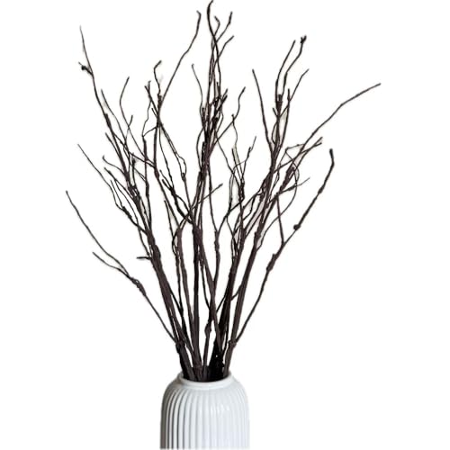 Bakoukiter 8PCS Artificial Birch Decorative Branches 27.5IN Lifelike Curly Willow Branches for Vase Flexible Twig Stems for Flower Arrangement Centerpiece Rustic Home Decor
