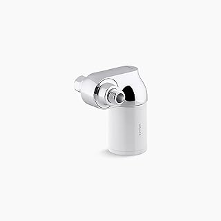 R24612-CP Aquifer Filtered Shower Head Attachment, Filtration System Attaches to Most Existing Shower Heads, Reduces Chlorine, Odor, and Controls Scale, Polished Chrome